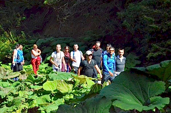 Trekking Organizayonu